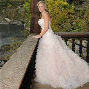 🤎🐾Kenneth Winston Wedding Ball Gown